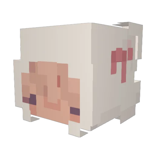 yillit Minecraft avatar head, 3D render