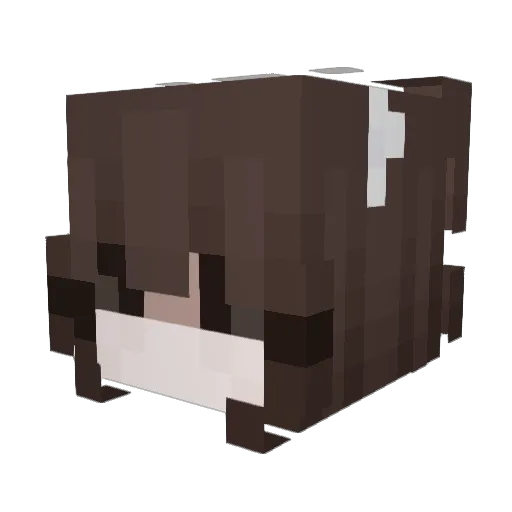 yindsey Minecraft avatar head, 3D render