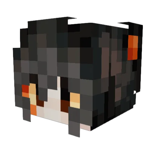 yipfluoric Minecraft avatar head, 3D render