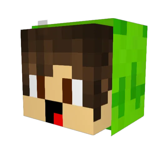 yipie1234 Minecraft avatar head, 3D render