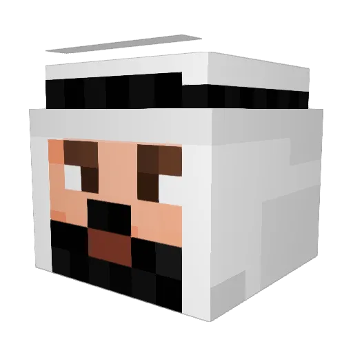yipiti Minecraft avatar head, 3D render