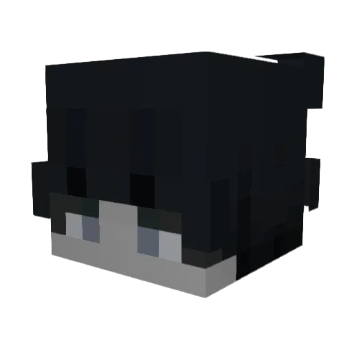 yippiejay Minecraft avatar head, 3D render