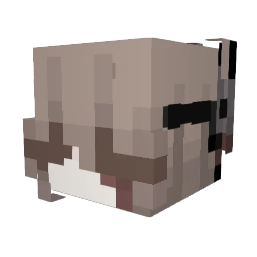 yirla Minecraft avatar head, 3D render