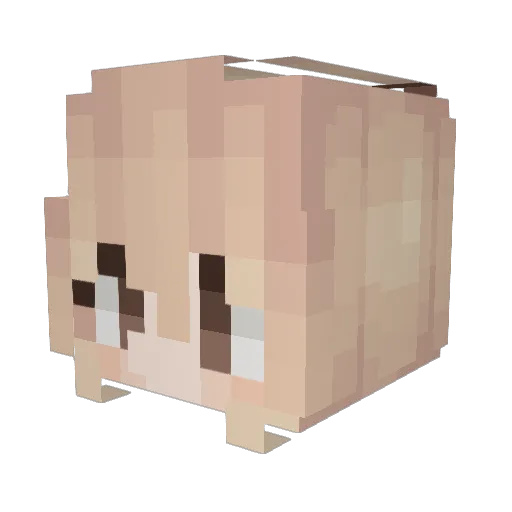 yithhhhh Minecraft avatar head, 3D render