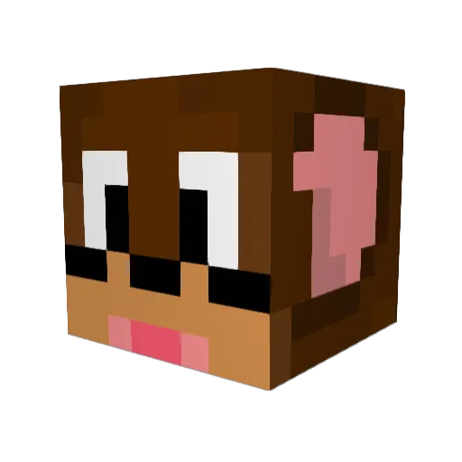 yjh7734 Minecraft avatar head, 3D render