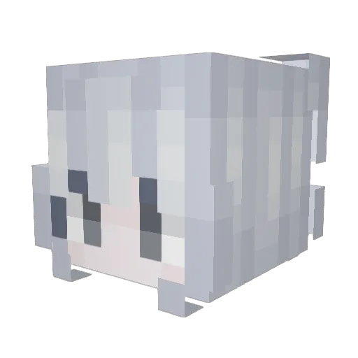 yjzj1 Minecraft avatar head, 3D render