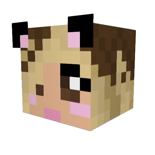 ylime9 Minecraft avatar head, 3D render