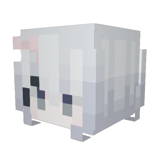 yllioooo Minecraft avatar head, 3D render