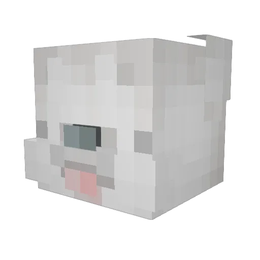 ymcho1102 Minecraft avatar head, 3D render