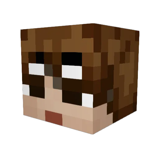 ymer_ Minecraft avatar head, 3D render