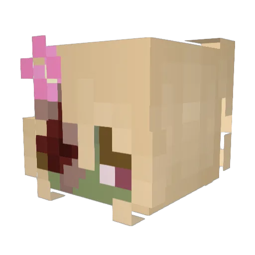 ymis Minecraft avatar head, 3D render
