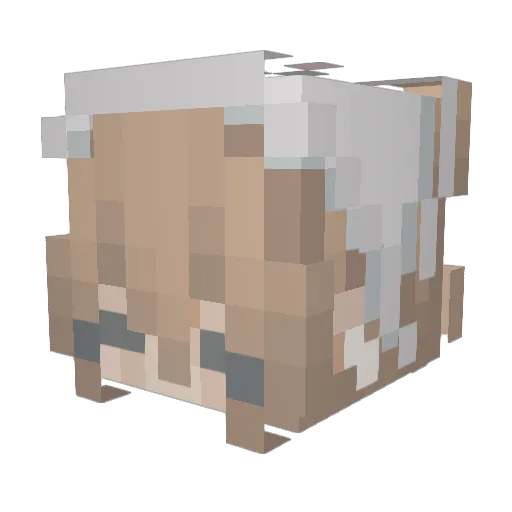 ynaaaa Minecraft avatar head, 3D render