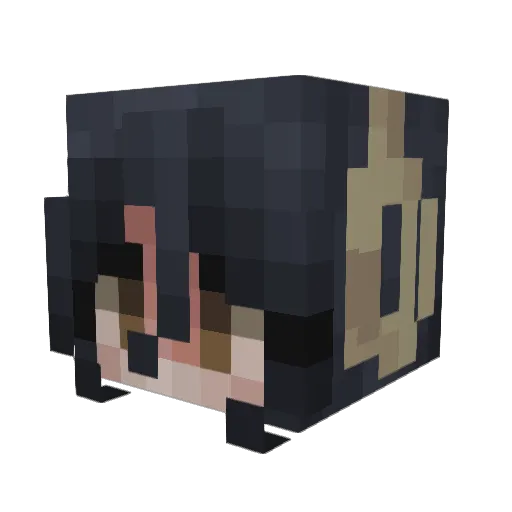 ynfmu Minecraft avatar head, 3D render