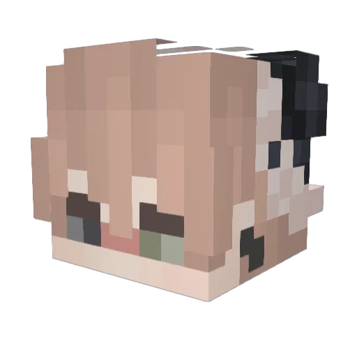 ynhachi Minecraft avatar head, 3D render