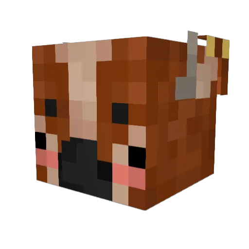 ynysmaerdy Minecraft avatar head, 3D render