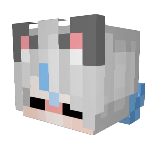 yoFalon Minecraft avatar head, 3D render