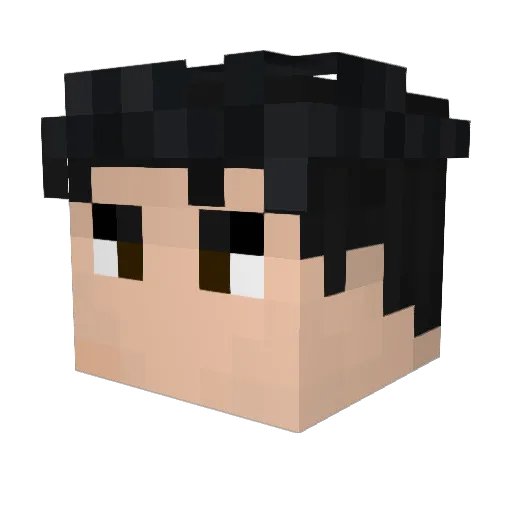 yoN667 Minecraft avatar head, 3D render