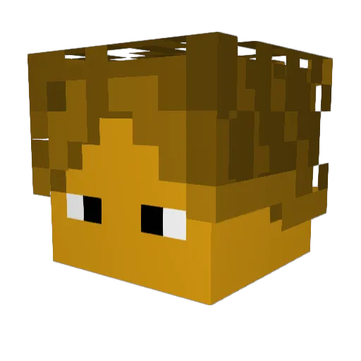yoWixry Minecraft avatar head, 3D render