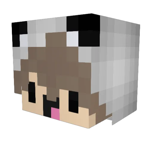 yoboypanda Minecraft avatar head, 3D render
