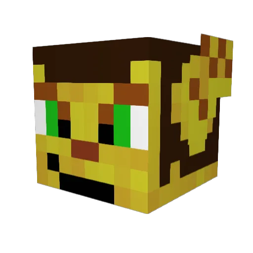 yodasdaman1 Minecraft avatar head, 3D render