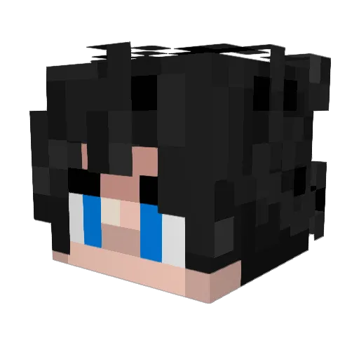 yodidydog Minecraft avatar head, 3D render