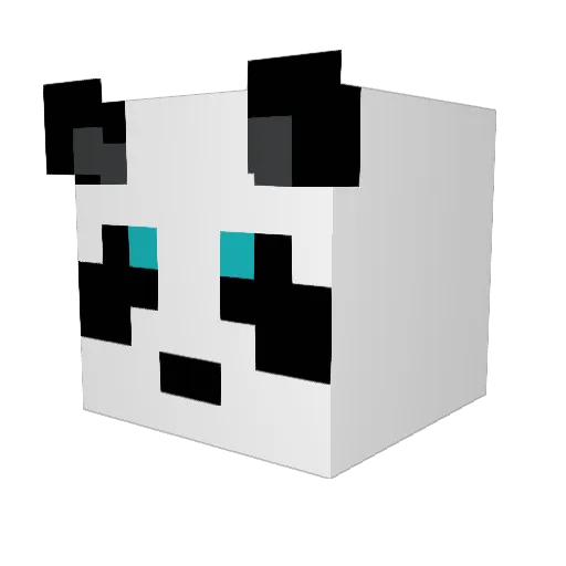 yoey_ Minecraft avatar head, 3D render