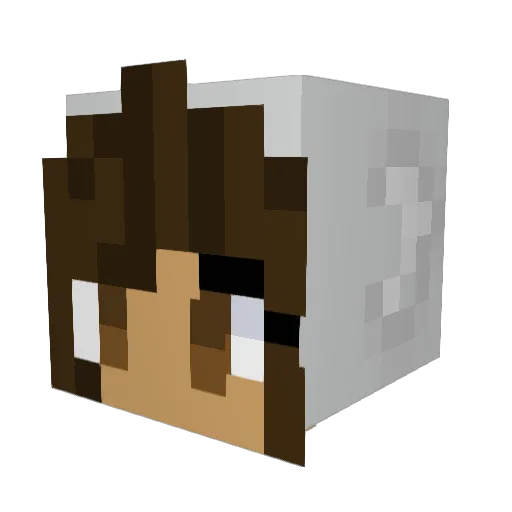yogi__ Minecraft avatar head, 3D render