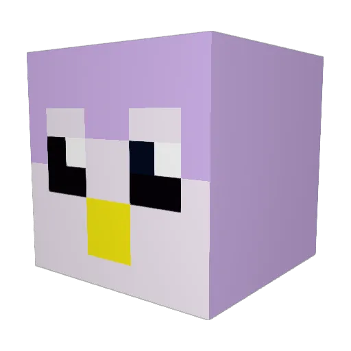 yogipengu1n Minecraft avatar head, 3D render