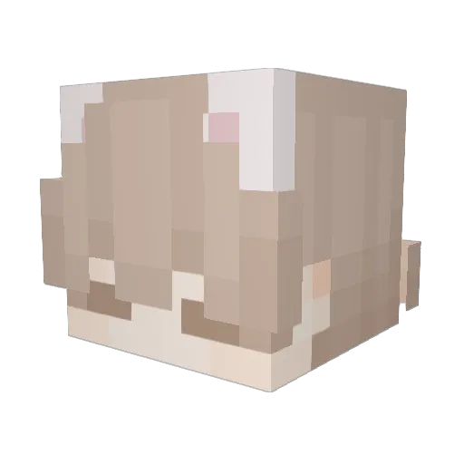 yoinky4116 Minecraft avatar head, 3D render