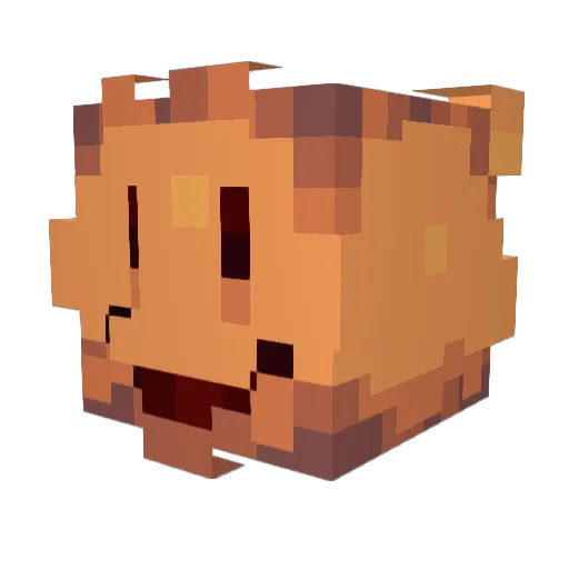 yoiperrpolik Minecraft avatar head, 3D render