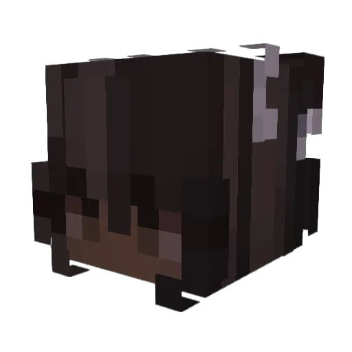yojakire Minecraft avatar head, 3D render