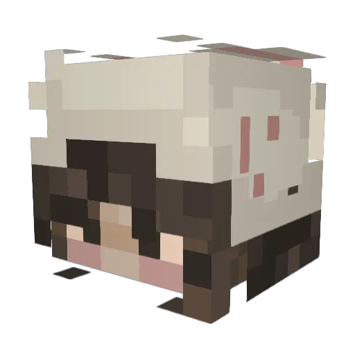yokrstn Minecraft avatar head, 3D render