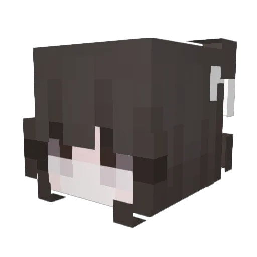 yokyo88 Minecraft avatar head, 3D render