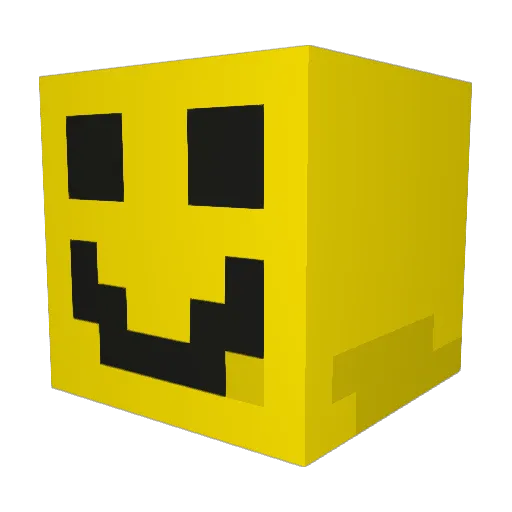 yolo_Nate Minecraft avatar head, 3D render