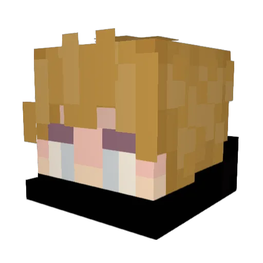 yoloboy7t Minecraft avatar head, 3D render