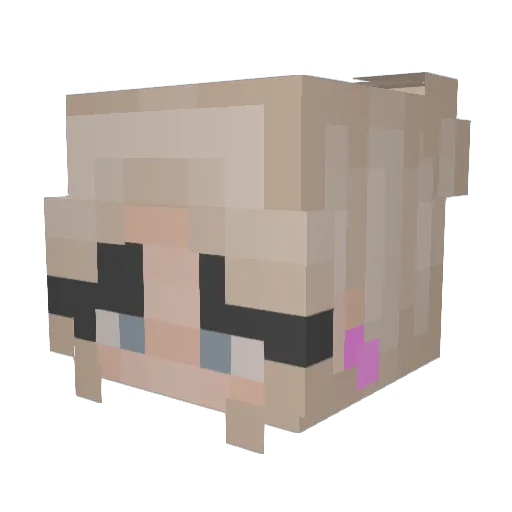 yolomaster4567 Minecraft avatar head, 3D render