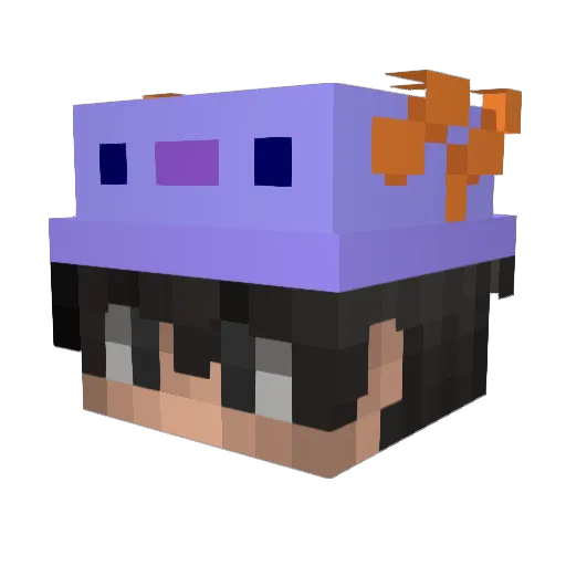 yolomc_ Minecraft avatar head, 3D render