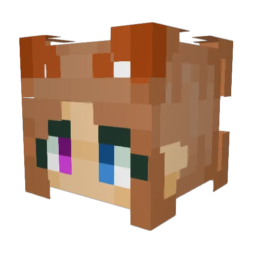 yolosander0 Minecraft avatar head, 3D render