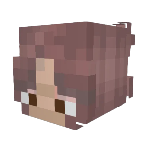yoloseq Minecraft avatar head, 3D render