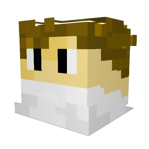 yomasfat1 Minecraft avatar head, 3D render