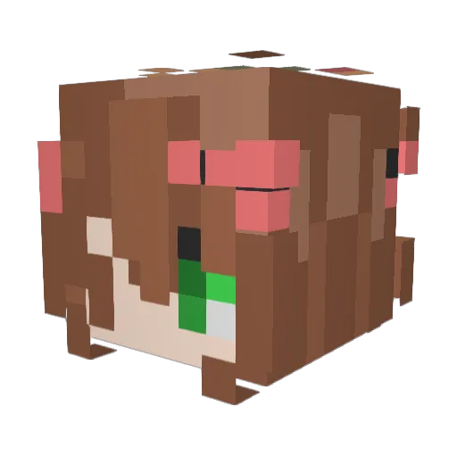 yoneia Minecraft avatar head, 3D render