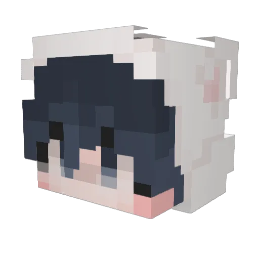 yonery Minecraft avatar head, 3D render