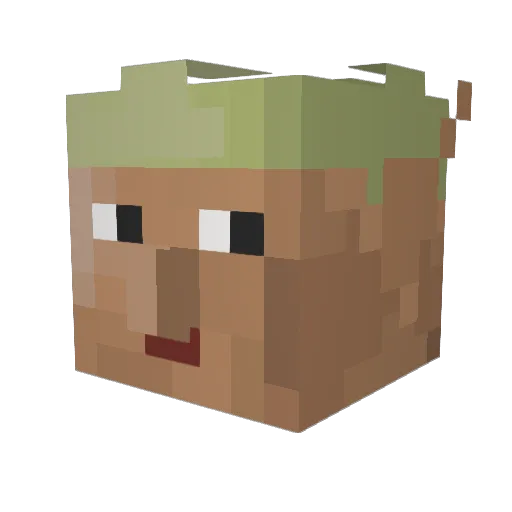 yoni Minecraft avatar head, 3D render