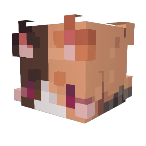 yonnik_evox Minecraft avatar head, 3D render