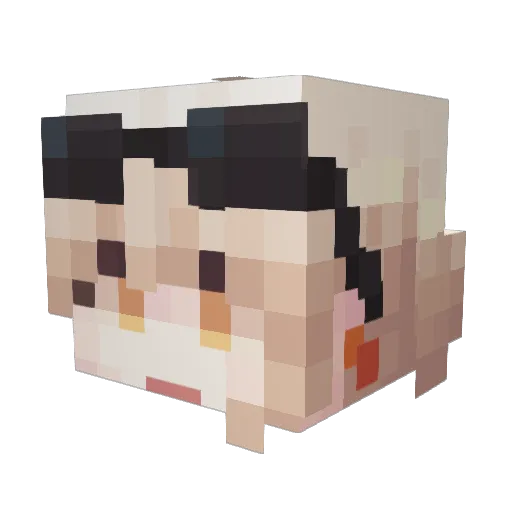 yoohwa2519 Minecraft avatar head, 3D render