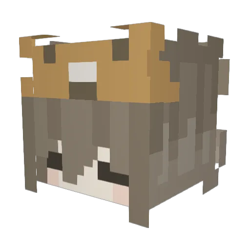 yoongilvr Minecraft avatar head, 3D render