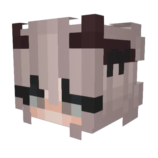 yoonsboons Minecraft avatar head, 3D render