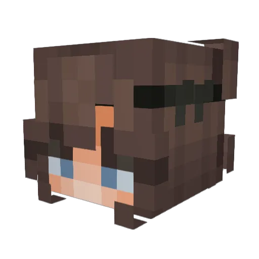 yoonsdelights Minecraft avatar head, 3D render