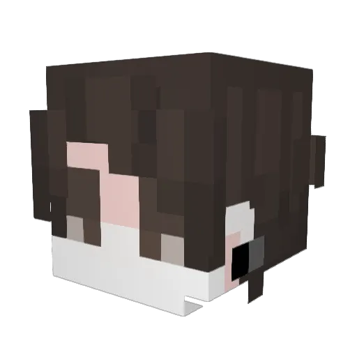 yoonwaffle Minecraft avatar head, 3D render