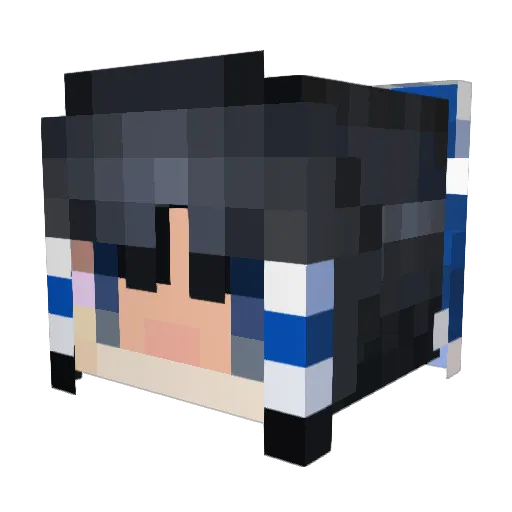 yoooooglt Minecraft avatar head, 3D render
